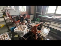 ODM ทองแดงท่อแก๊สปิดวาล์วที่กําหนดเองด้วยสีมือสีฟ้า